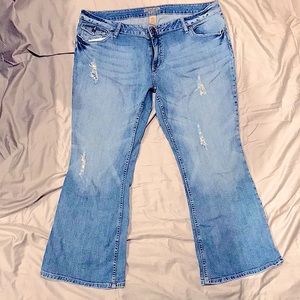 Arizona Flare Jeans
